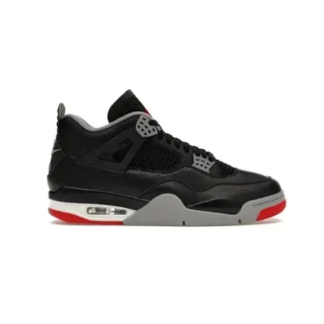 Air Jordan 4 (17 style) — angle 4